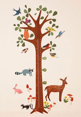 Woodland Height Chart Woodland Height Chart